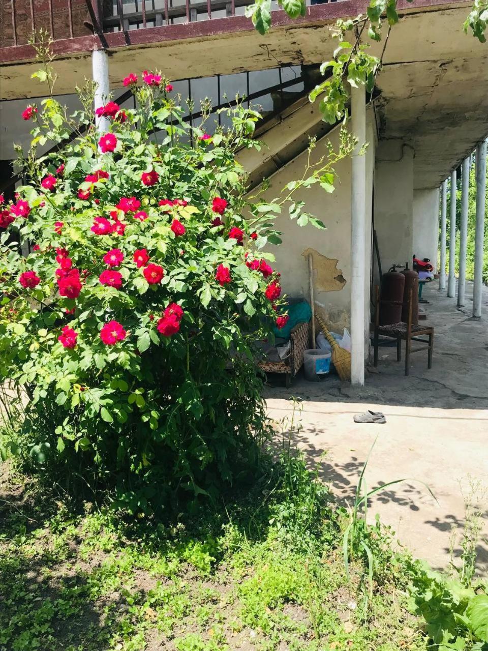 Dzoragyugh B&B Buitenkant foto