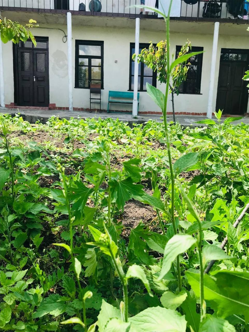 Dzoragyugh B&B Buitenkant foto