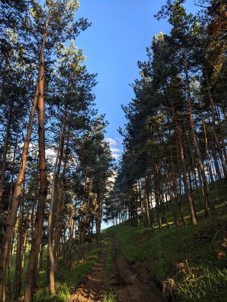 Dzoragyugh B&B Buitenkant foto